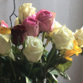 Отзыв о Служба доставки цветов Flowers-Sib: Испортили настроение.
